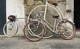 Tour De France Historique Et Chateaux De Loire